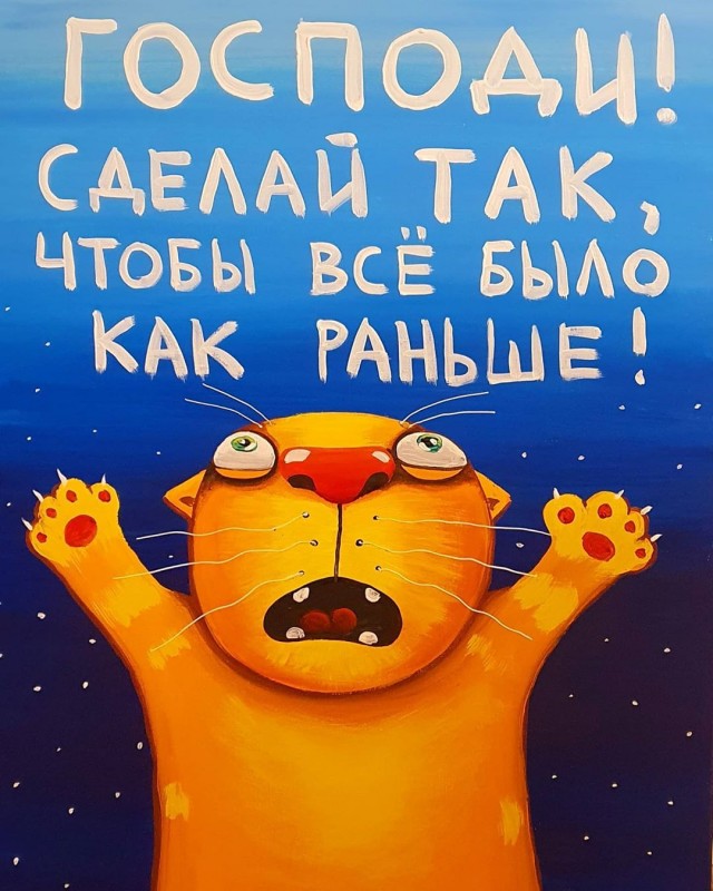 Профилактическая порция котов, повышающих уровень серотонина