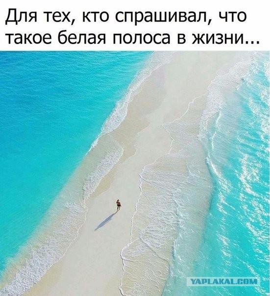 Так себе картинки 14.12.21