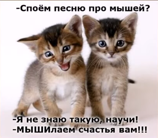 Весёлый полтишок 28.02.22