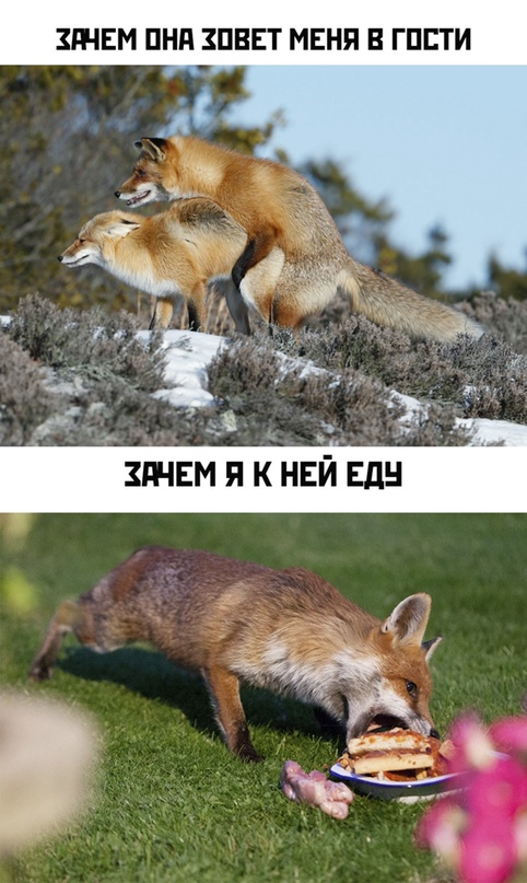 Весёлый полтишок 30.03.22