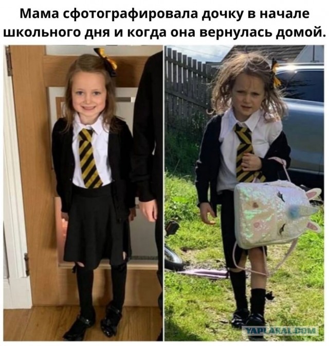 Так себе картинки 11.04.22
