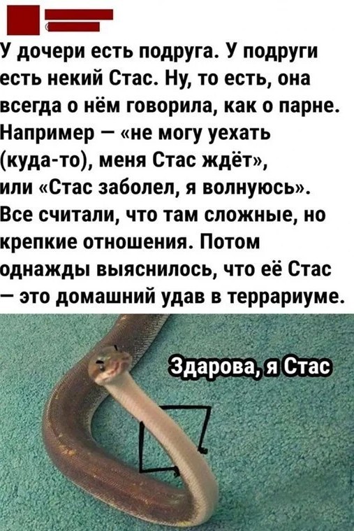 Скриншоты и комментарии из социальных сетей 3.08.22