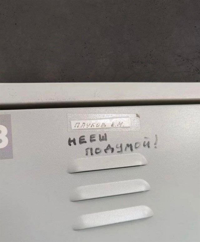 Самые симпатичные виды пауков