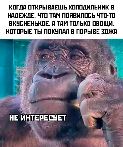 Весёлый полтишок 12.03.23