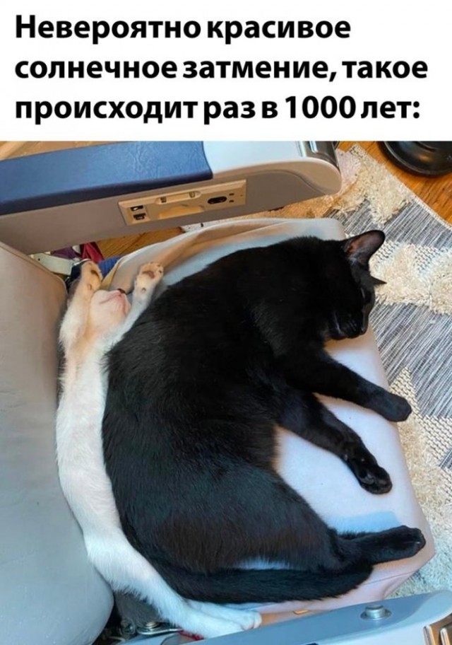 Немного картинок для настроения - 151