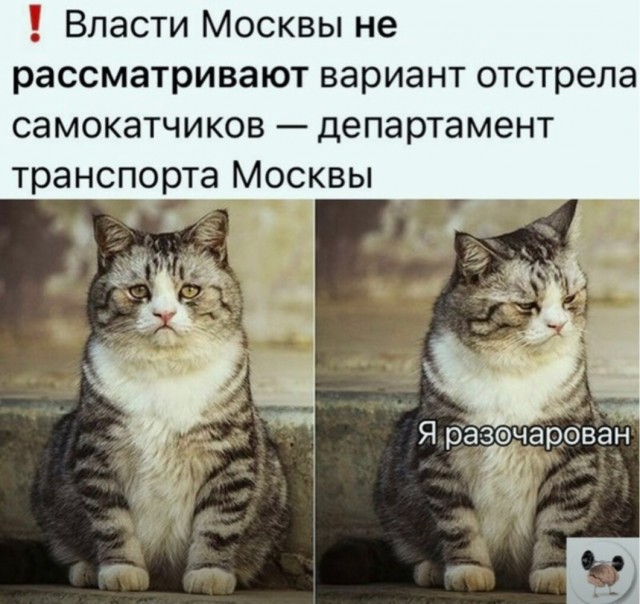 Борьба с электросамокатами по-Приморски