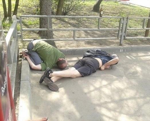10 картинок с подписями - 2