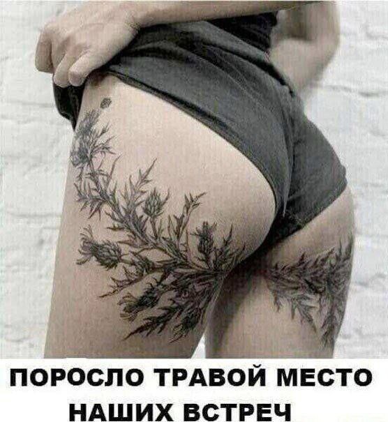 Мемчики и картинки для настроения и подумать
