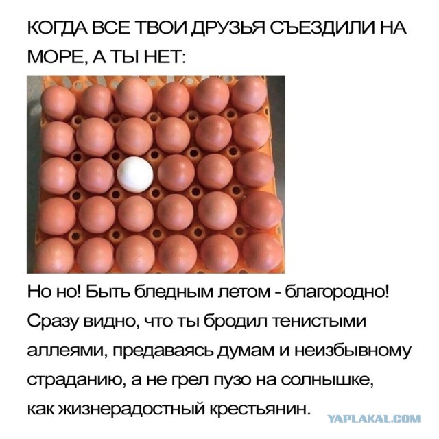 Завалялось тут случайно немного забавных картинок