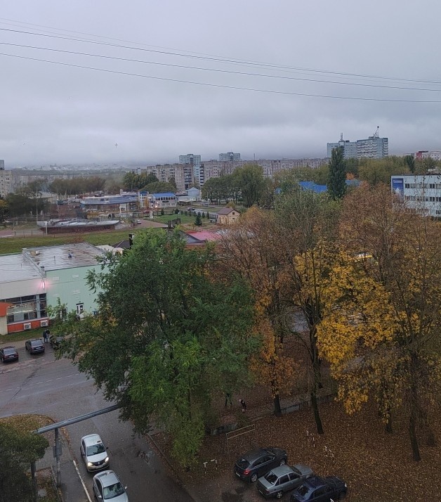 Вид из окна