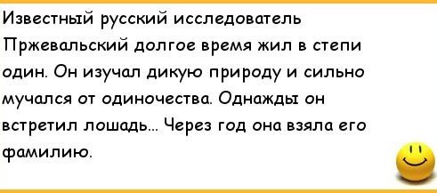 Как овцы Дорпер спускаются с гор