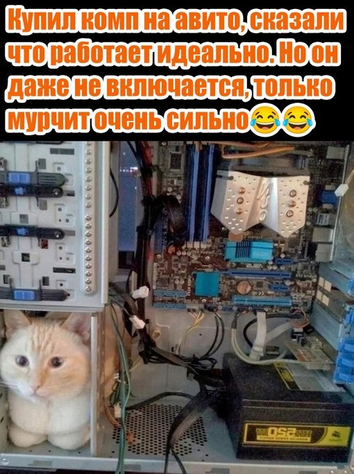 Так себе картинки 31.03.25