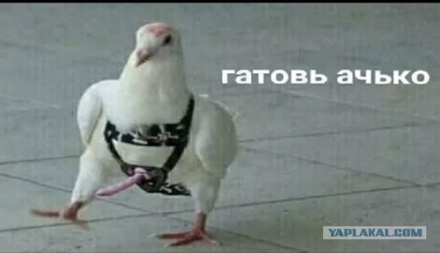 Во Владимире мигрант-исламист ворвался в клинику и порезал врача за то, что тот осмотрел его жену.
