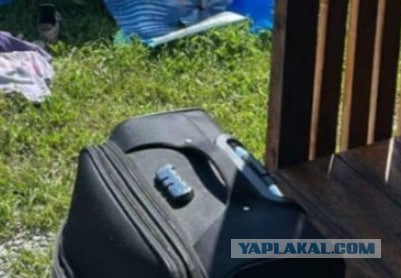 Женщина голая проникла на чужой участок в Находке и купалась в бассейне