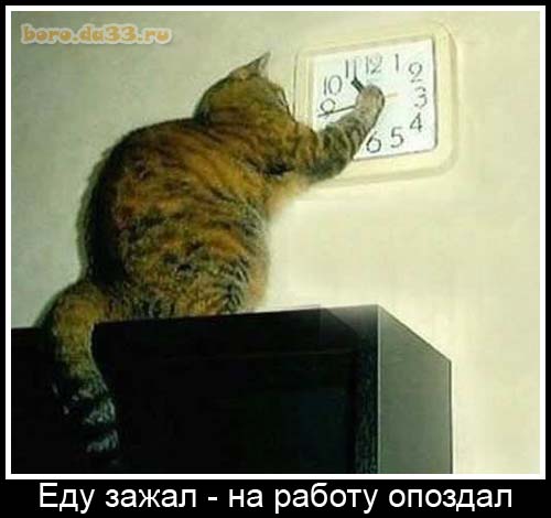 День опозданий отмечается сегодня