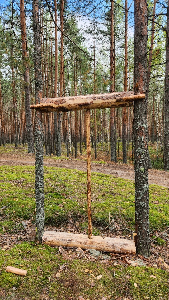 Озеро Лисичкино и другие