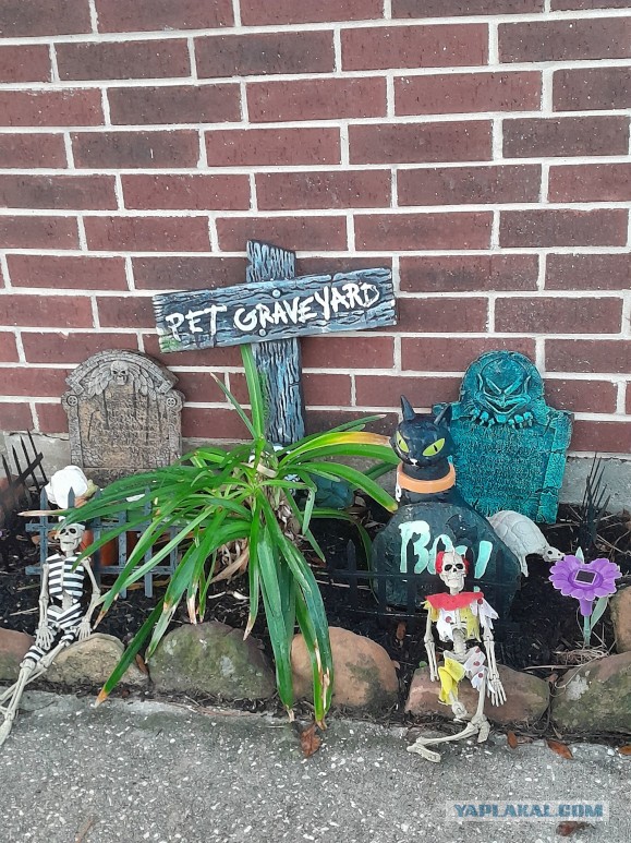 Техас готов к Хэллоуину