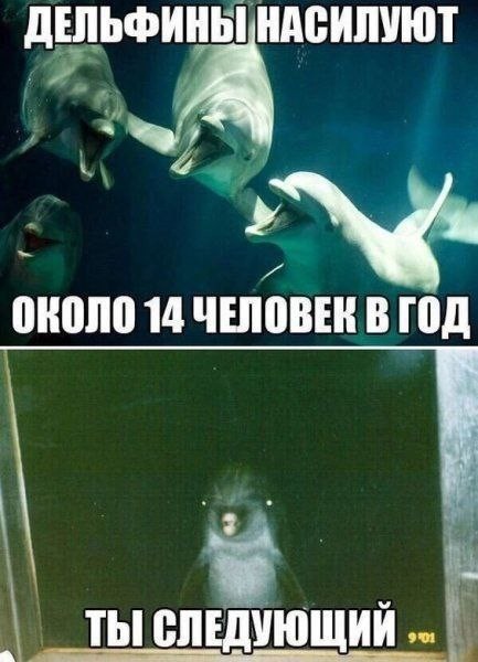 Картинки для деградации 74 (разной степени свежести)