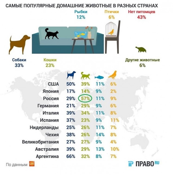 Россия возглавила мировой рейтинг самых «кошачьих» стран