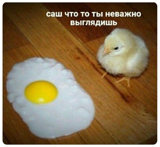 Субботние картинки
