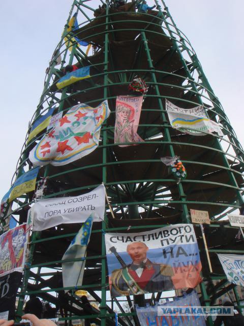 Владимир Путин: Акции в Киеве