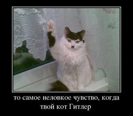 Не про олимпиаду