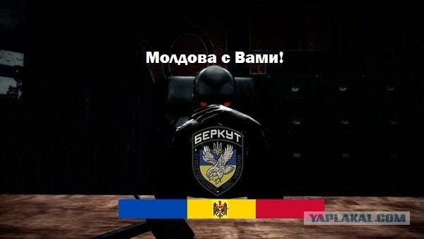 Бойцы украинского "Беркута" просят убежища