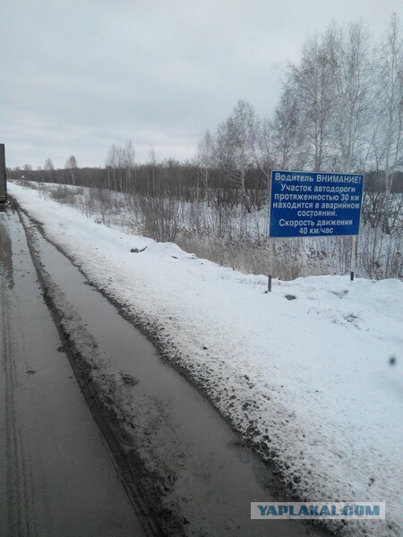 Озеленение Владивостока.