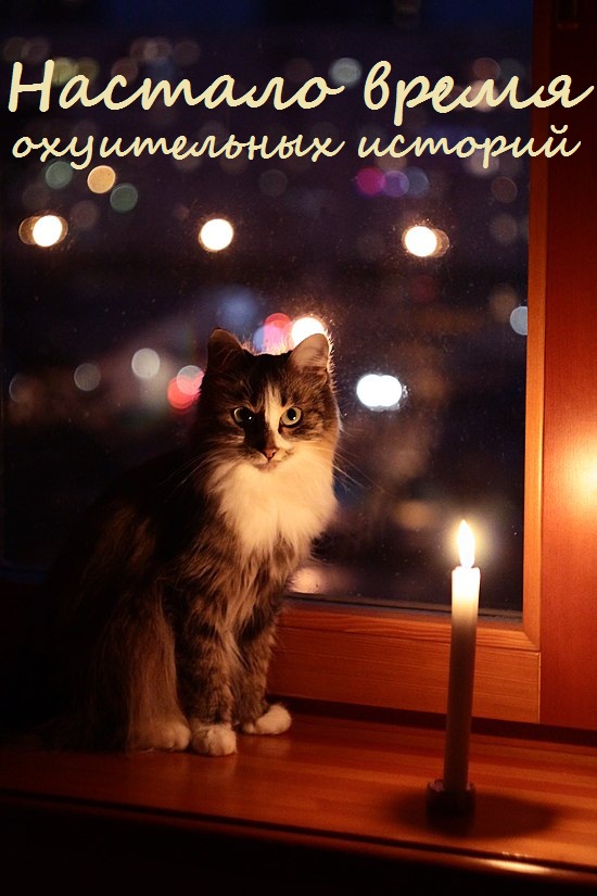 Нашел их на помойке...