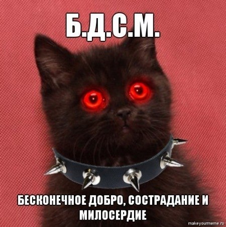 Кто играет с котом?