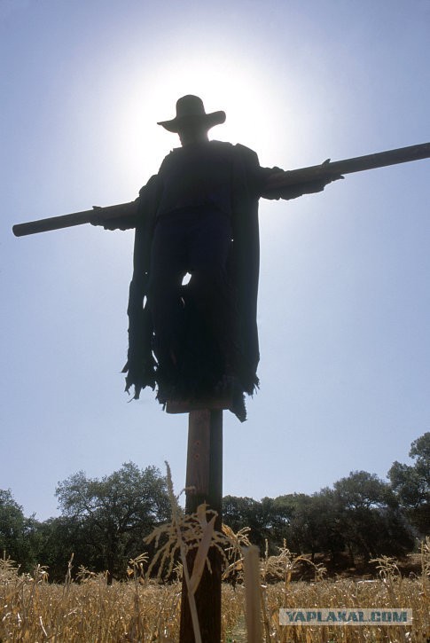 Украина применила авиацию .