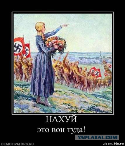 Освобожден Павел Губарев!