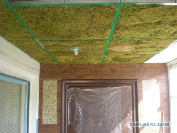 Рукожопство коврика для ванной из мха