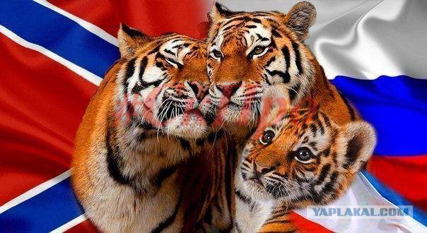 Подарки от ополчения Луганска