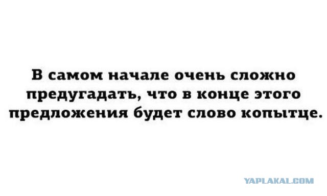Новые "комментарии из соцсетей"
