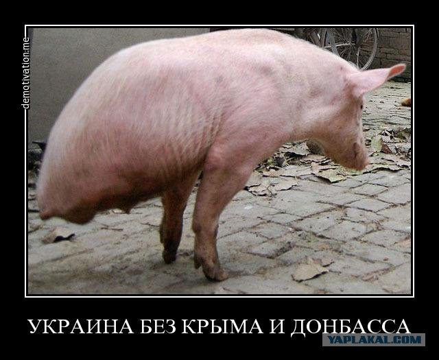 Война не повод для смеха, но....