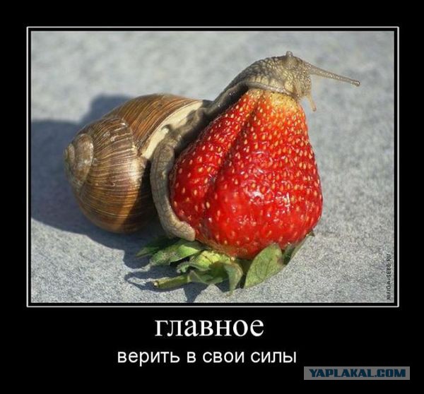 Поднимаем настроение