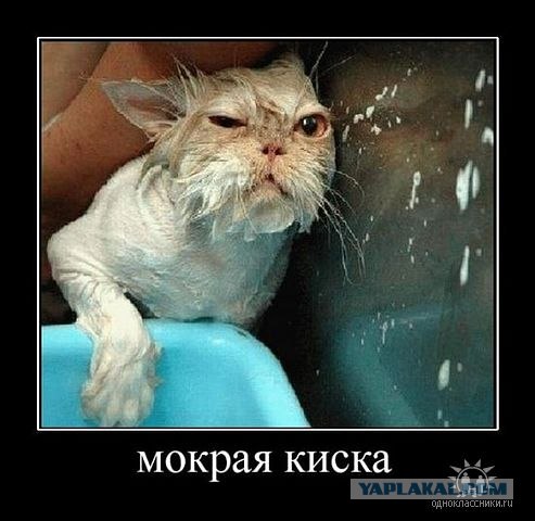Слов не хватает!