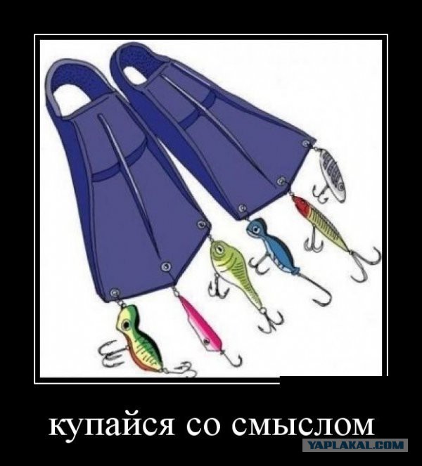 Весёлые картинки