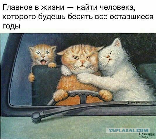 Веселые картинки