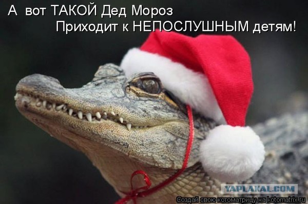 Конкурс Новогодних и Рождественских сказок.