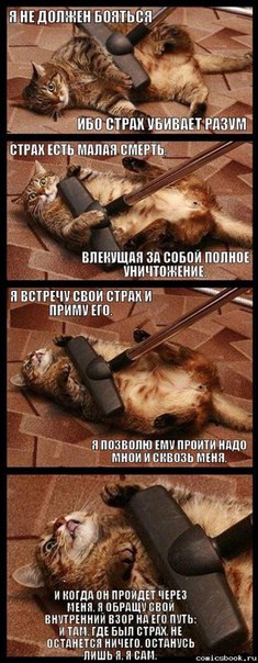 Всякая хренотень