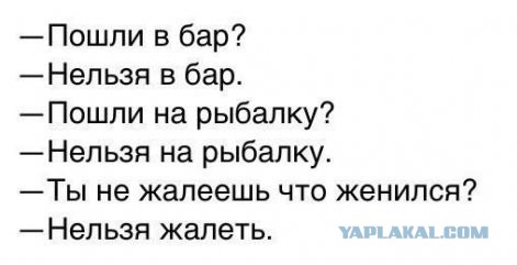 Весёлое из сети