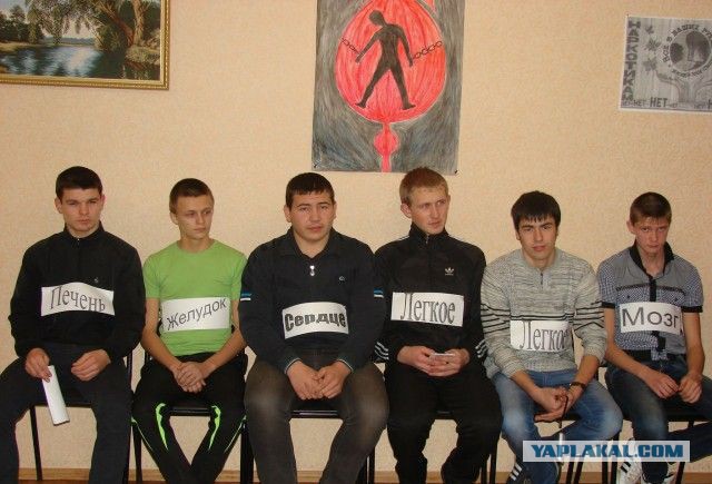 Вестник Соцсетей