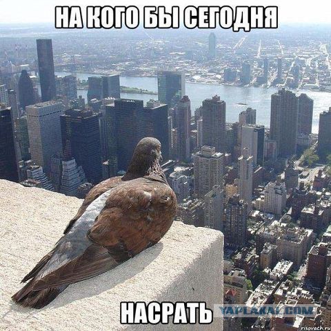 Никогда нам не быть супругами