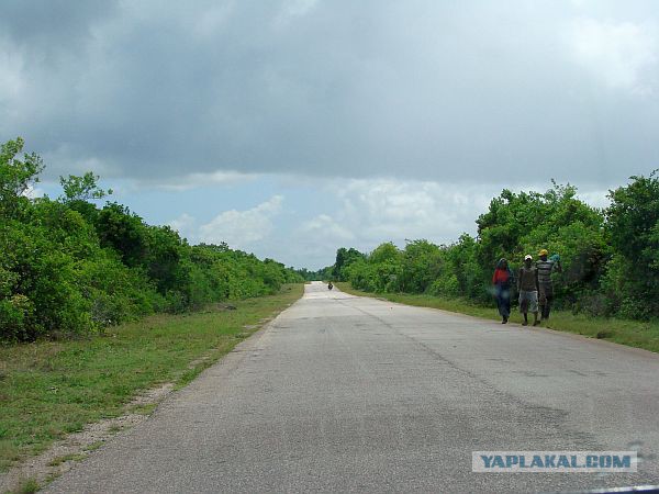 Мой папа в жизни не был на Занзибаре
