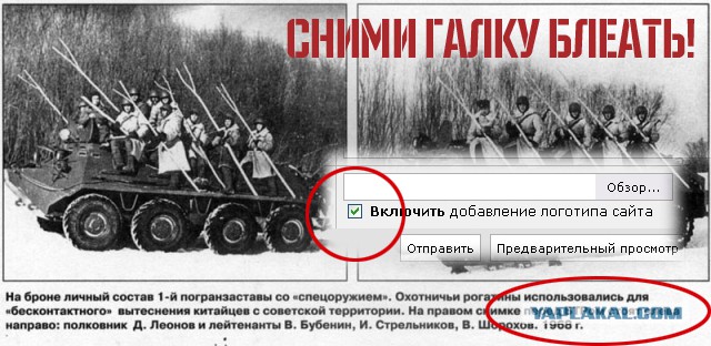Жизнь застывшая в фотографиях