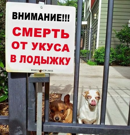 Ужасы и приколы из соцсетей 18+