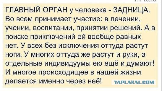 Смешные комментарии 27.09.2015