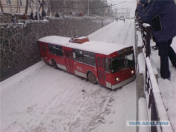 Картинки